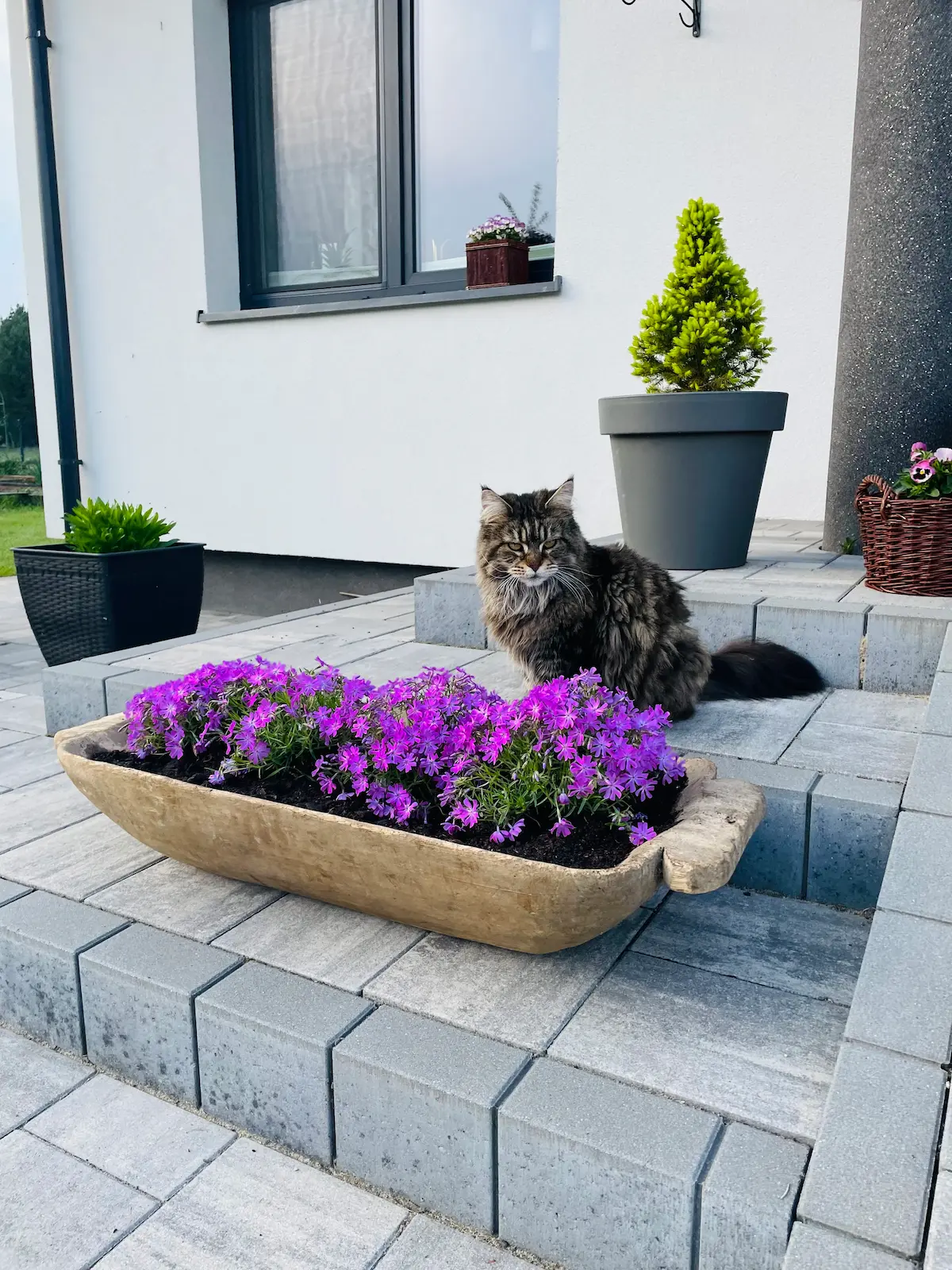 Drewniana donica kwiatowa